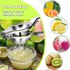Household Stainless Steel Manual Juicer Fruit Juice Artifact