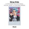 Stray Kids 5-STAR DOME TOUR 2023 SEOUL SPECIAL UNVEIL 13 PURCHASE REWARD Official Photocard