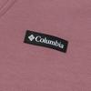 Columbia Travel Series Solid Logo Hooded Sweatshirt Unisex sweatshirt Gray Pink AE2278-609