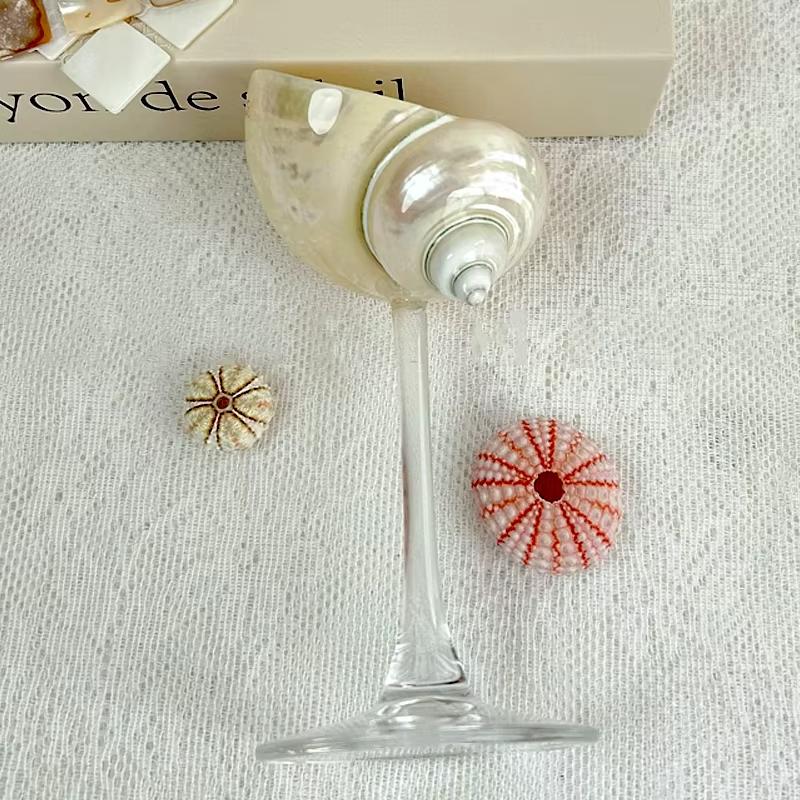 Conch Shell Champagne Glass Cup for Celebrations, Unique Drinkware for Adults Home Bar Wedding Favor Decoration Artistic Display