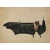 Vintage Spider Antique Bat Raven Moth Butterfly Gothic Art Poster Canvas Painting Wall Prints Picture Dark Academia Decoration