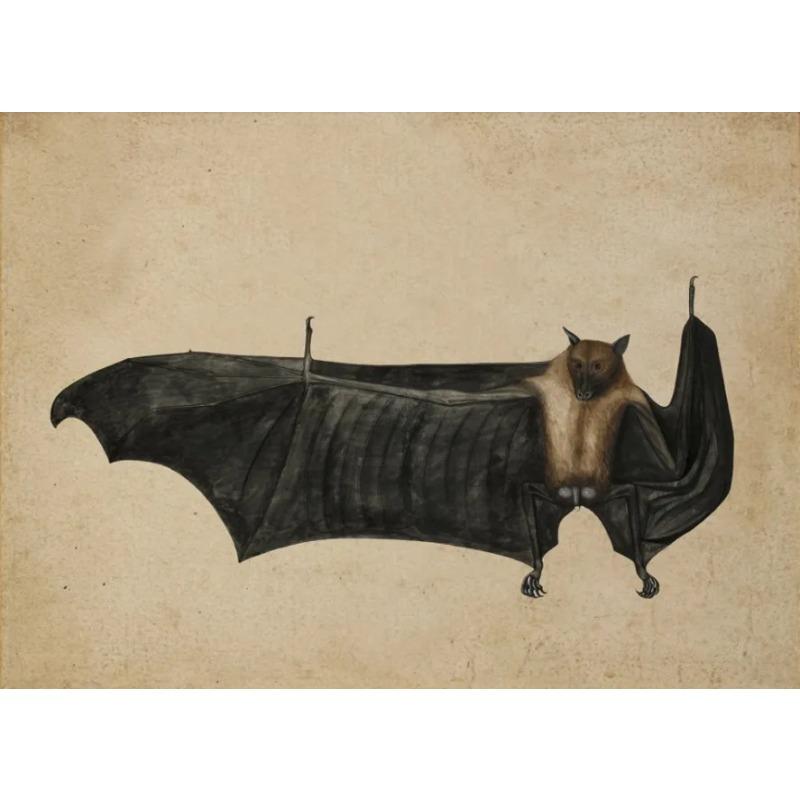 Vintage Spider Antique Bat Raven Moth Butterfly Gothic Art Poster Canvas Painting Wall Prints Picture Dark Academia Decoration