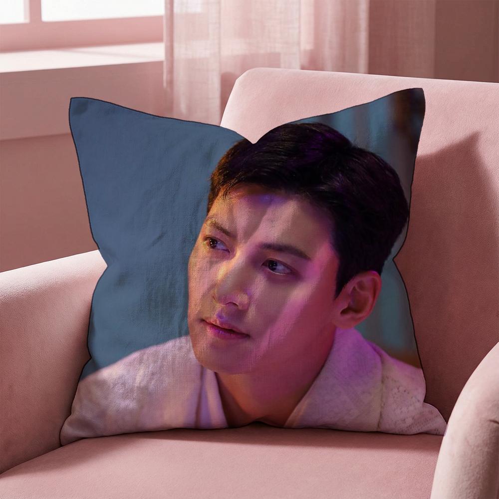 J-Ji C-Chang Wook Cushion Cover Multi-Scene Pillow Cover for Home & Car - Reversible, Soft & Durable for Daily Use