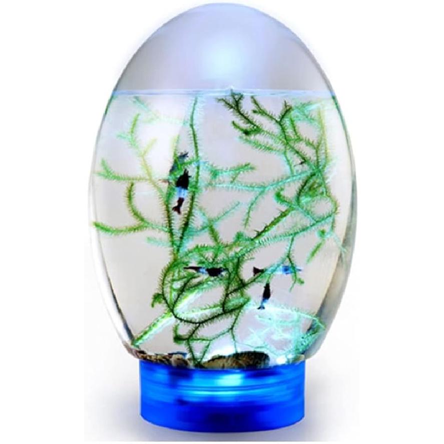 

Мини Экологичный Аквариум, Закрытый Водный Настольный Аквариум со Светодиодной Подставкой, Домашний Офисный Декор, Не Требуется Подмена Воды(черный) синий