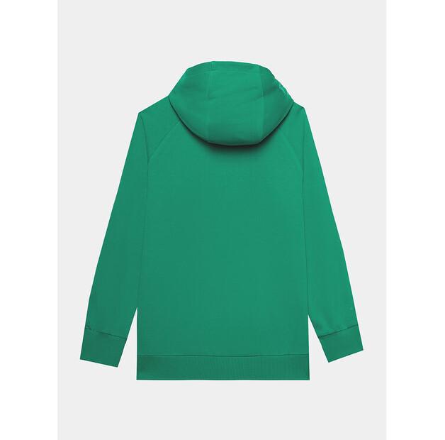 Hoodie 4F 4FWSS24TSWSF0955