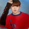 SEVENTEEN Poster Bromide Collection of 5 Types