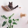 Wall-mounted wear-resistant cat scratching post Space-saving wooden hammock Pet activity and rest set