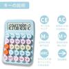 Calculator cute 12 digits computing stylish large LCD colorful round buttons typewriter portable convenient non-slip business trade tax calculation