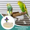 Parrot Stand Bird Cage Accessories Natural Chewable Enrichment Toy Playground Accessories For Conure Chicken Pigeon Indoor