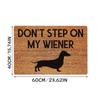 Non- Door Mat, Indoor And Outdoor Carpet, Home Welcome Mat