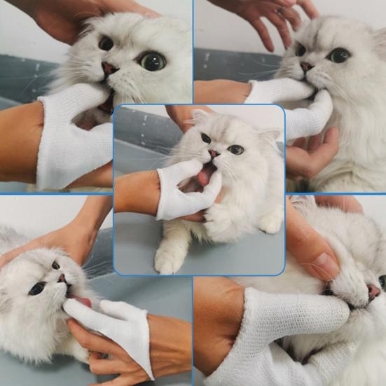 Hundezahnbürste Zahnpflege Weiche Baumwolle Zwei-Finger-Zahnbürste Katze Hund Oral Zähne