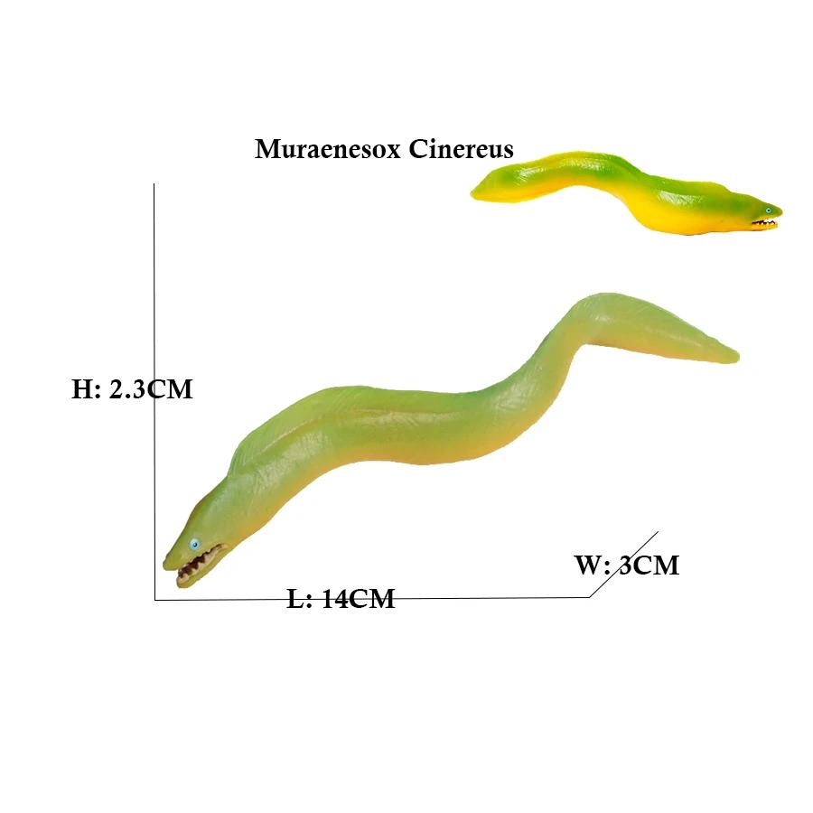 Marine Toy Animals Figures Sword fish Sailfish Salmon Shark Piranha Animal Figurines Action Figure Children Toys Games kids Gift