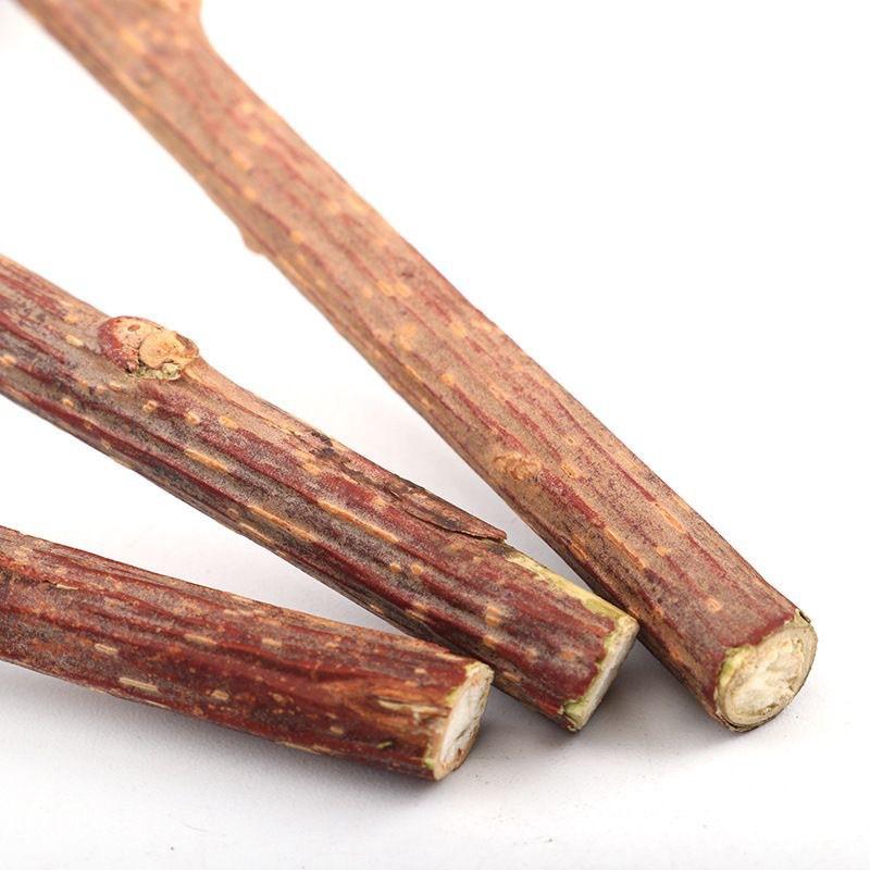 Catnip Stick Toy Cats - Natural Wood Mint Dental Chew Teeth Cleaning Oral Care