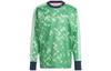 Sweatshirts Men's Green Crew Neck Moderate Regular HT7193