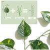 Yatim 78-Ft 12 Pack Silk Artificial Ivy Vines Leaf Garland Plants Hanging Wedding Garland Fake Foliage Flowers Home Kitchen Garden Office Wedding