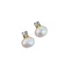 Light Luxury Zircon Stud Sweet Crystal Drop Earrings Simple Pearl Studs  Women