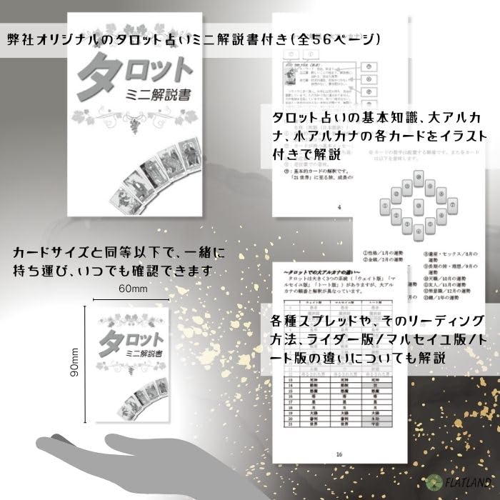 Avian Tarot Tarot Reading Instructions, Japanese Instruction Manual Included, Authentic Tarot Cards, 78 Birds