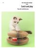 Magic Accordion Cat Scratcher with Ball & Bell - Popular Cat Climbing Toy