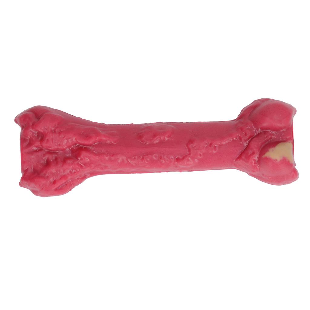 Dog Chew Toy Puppy Teething Bone Rubber Teether Squeaky Comfortable Chewing for Pet Chewer