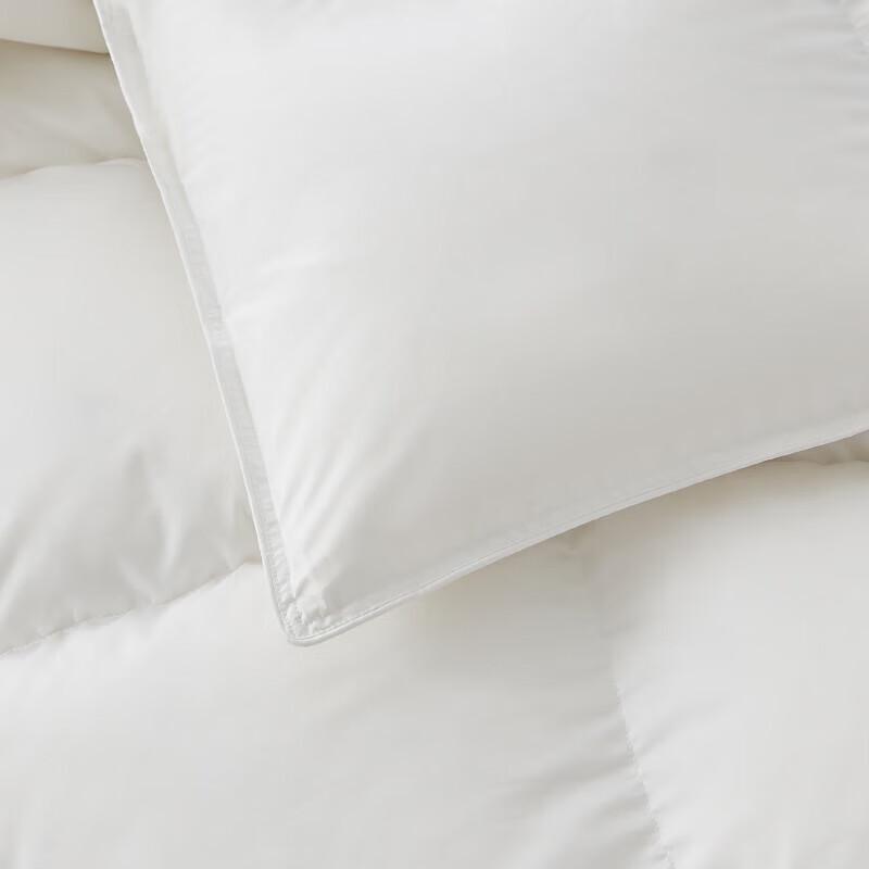 Muji Warm Polyester Duvet