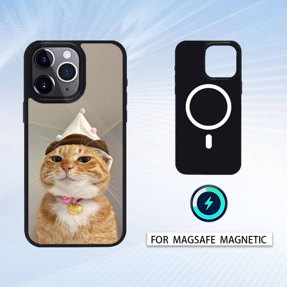 Cool Cat Cute Phone Case Magnetic For iPhone17 16 15 14 13 12 Pro Max For Magsafe Wireless Charging Cover