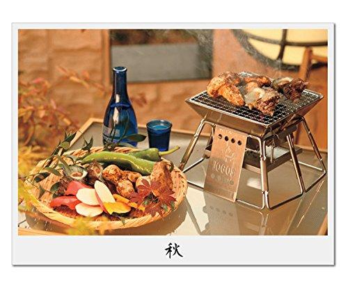 LOGOS Pyramid Grill, Stainless Steel Grill (Serves 1-2 People), 81063112