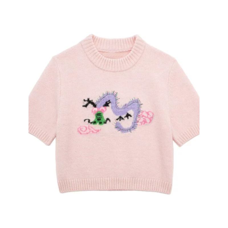Fashion Style 2024 Spring New Arrival Women's Clothing Slim Looking Easiest for Match Embroidery Short Top Sweater 5755003620