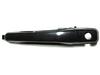 Mitsubishi Outlander 02-06 Front Right Exterior Door Handle