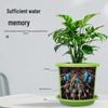 Lilang Four Seasons Breathable Root Control Plastic Plant Pot