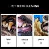 1pc Pet Teeth Cleaning Scraper Stainless Steel Double Headed Dog Tooth Scraper Pet Tartar Cleaning Tools Pet Accessories