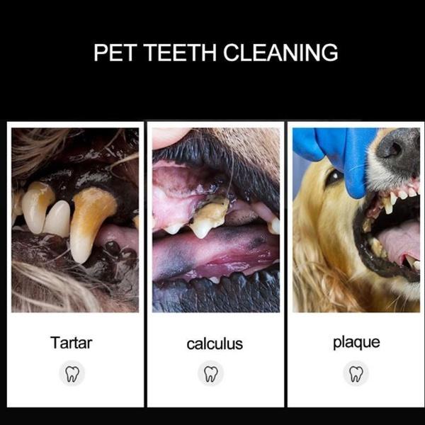 1pc Pet Teeth Cleaning Scraper Stainless Steel Double Headed Dog Tooth Scraper Pet Tartar Cleaning Tools Pet Accessories