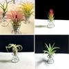 3Pcs/set Stainless Steel Air Plant Stand Pineapple Base Spring Wire Egg Tray  Home Decor