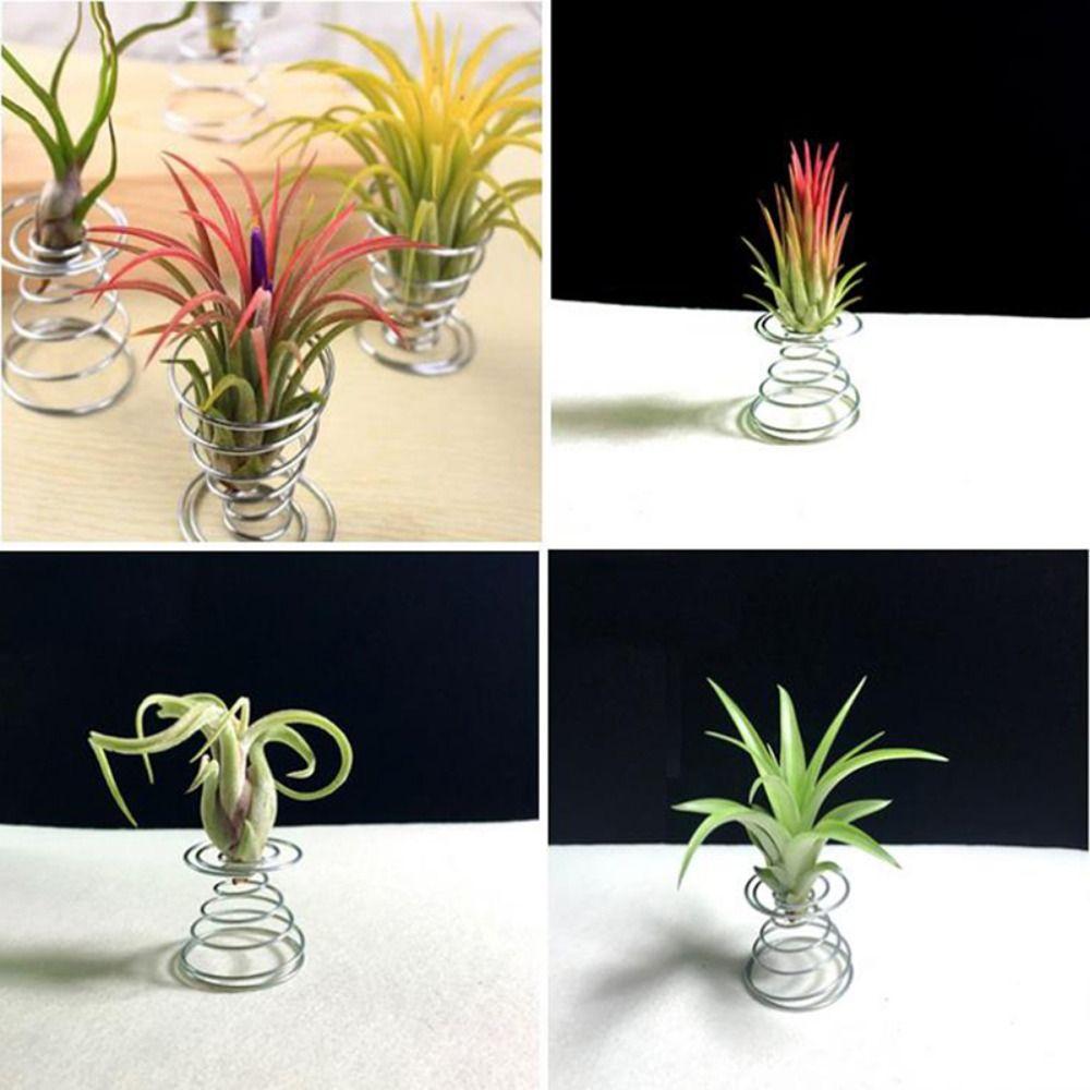 3Pcs/set Stainless Steel Air Plant Stand Pineapple Base Spring Wire Egg Tray Home Decor