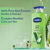 Vaseline Aloe Fresh Body Lotion 400ml Pack of 1 24HR Hydration Non-Sticky Lightweight Skin Moisturiser