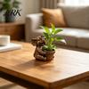 Small Planter Cute Elephant Planter, Animal Flower Pot, Weatherproof Indoor Outdoor Thickened Cactus Air Plant Holder for Home Office Desktop