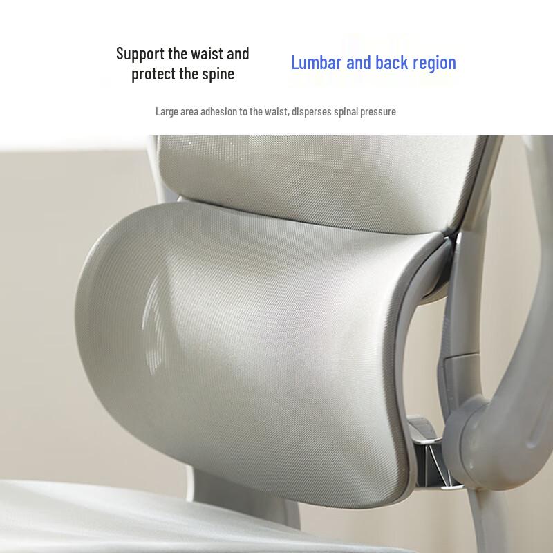 Ergonomic Lumbar Support Office Chair