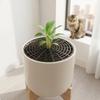 Breathable Mesh Plant Pot Soil Protector Grid Cover  for Beginner Gardeners