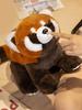 Raccoon Plush Toy Stuffed Red Panda Wild Forest Animal Doll Soft Cuddly Sitting Lying Plushie Gift for Kids