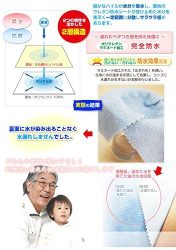 Manufacturer Direct: Waterproof Terry Sheet (for Bedwetting and Nursing Care), Single Size 100 x 205 cm (with Elastic) (Blue)