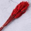 60pcs Natural Dried Lagurus Ovatus Foxtail Bouquet for Decoration