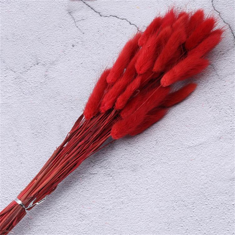60pcs Natural Dried Lagurus Ovatus Foxtail Bouquet for Decoration
