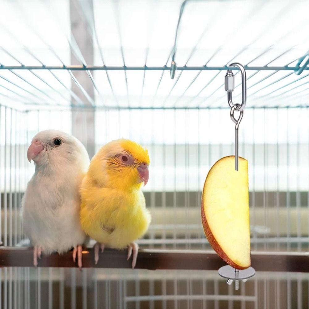 2Pcs Stainless Steel Bird Feeder for Cage Rust-proof Parrot Fruit Skewers Bird Foraging Toys  Birds