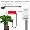 Graffiti WiFi Dual-Channel Temp & Humidity Switch with Timer & Alexa Support