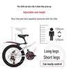 Permanent Youth 24-Speed Mountain Bike