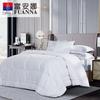 Yunshu Soy Fiber Winter Quilt