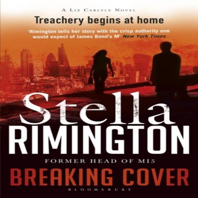 Breaking Cover von Dame Stella Rimington Taschenbuch 9781408859735