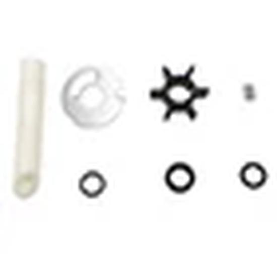 Fit For Outboard Mercury 2 2.5 3 4 5 6 HP 4&2 Stroke Water Pump Repair Service Kit With Housing 16159A03 46-16159T01 8M0155395