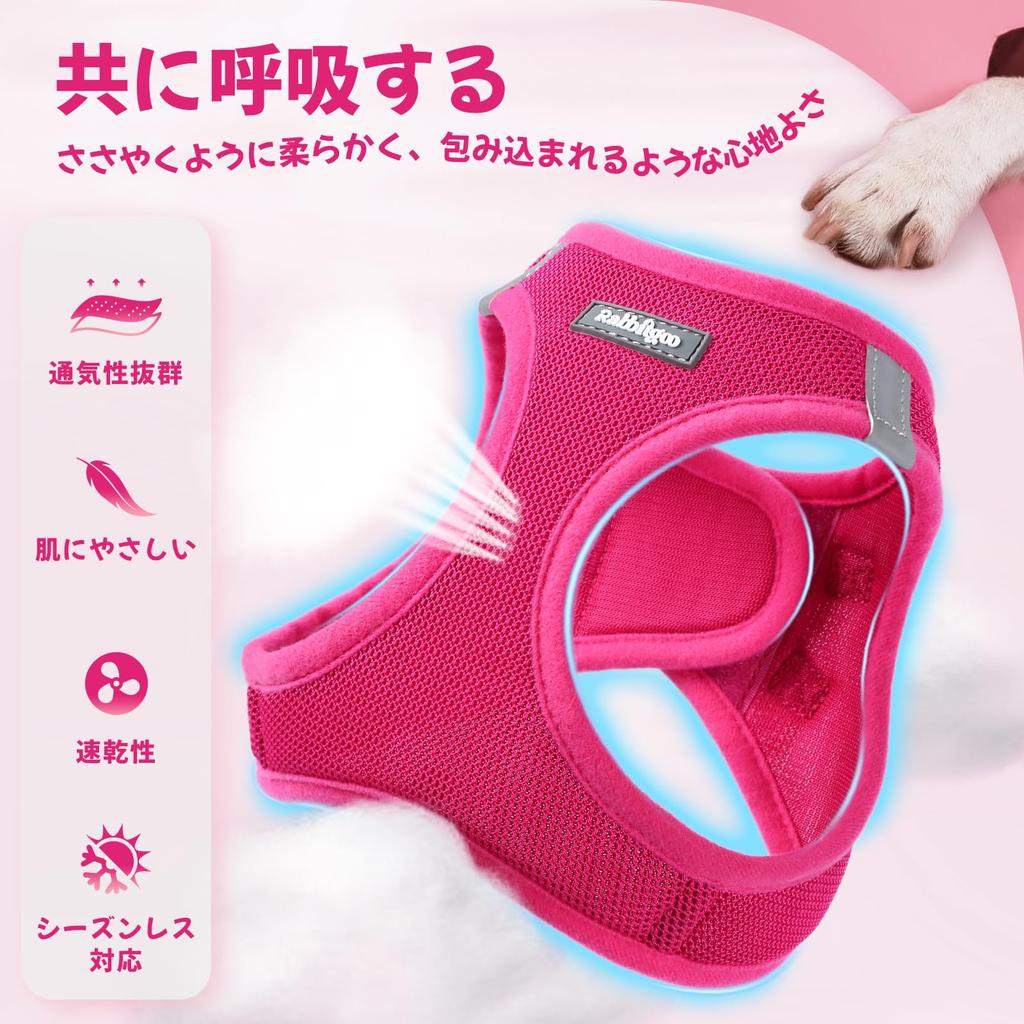 Rabbitgoo Dog Harness and Leash Set for Extra and Large Soft Velcro and Reflective Gentle on the Nighttime Easy to Put on and Take Hand Safe for and