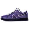 X Concepts Sb Dunk Low Purple Lobster BV1310-555(S-BOX)