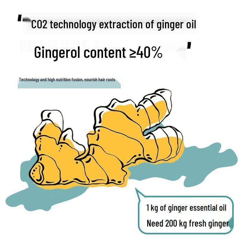 Accen Ginger Anti-Hair Loss & Growth Shampoo